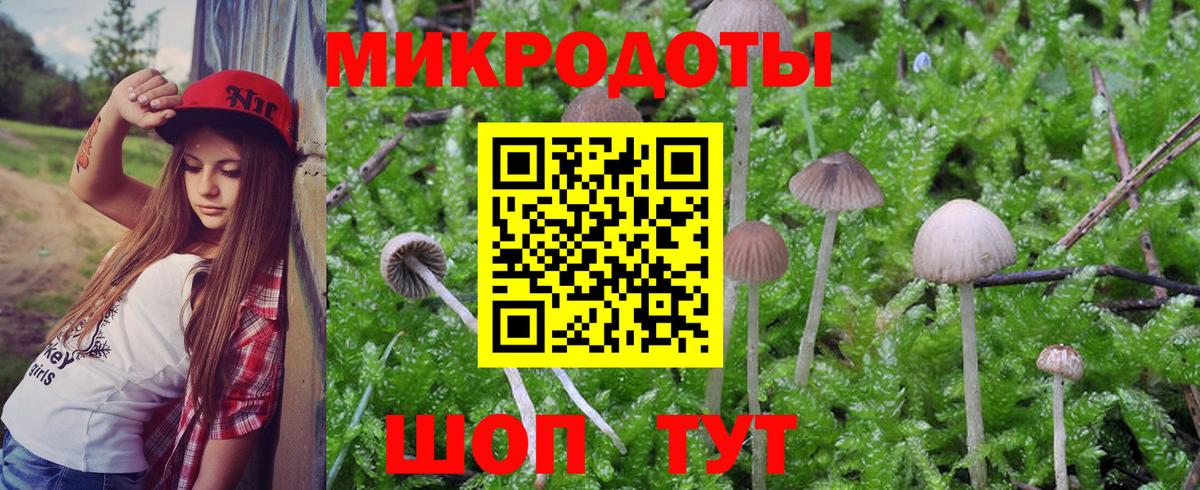Псилоцибиновые грибы мухоморы Гурьевск