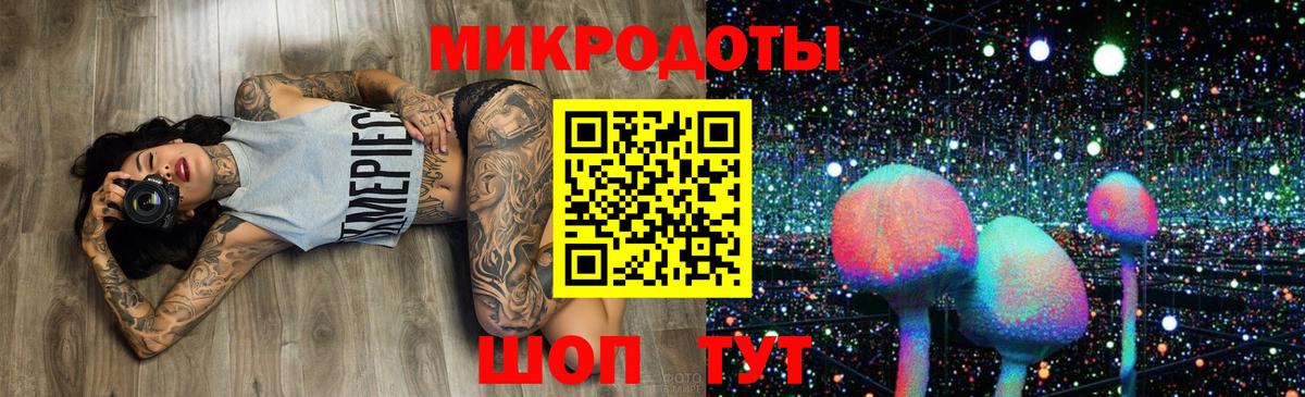 Гурьевск  Псилоцибиновые грибы Magic Shrooms  Вход с VPN  Псилоцибиновые грибы Psilocybine cubensis 